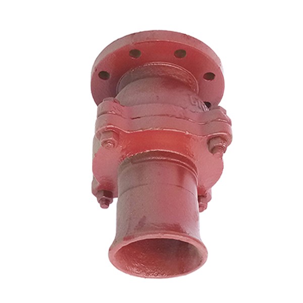 Cast Iron Suction Check Valve