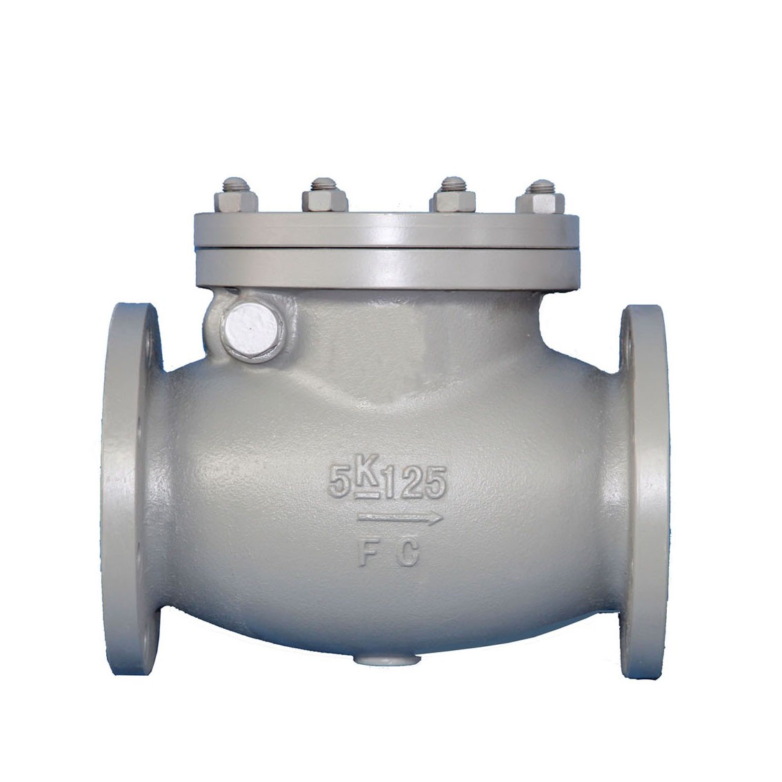 Cast Iron Swing Check Valve JIS F7372 5K