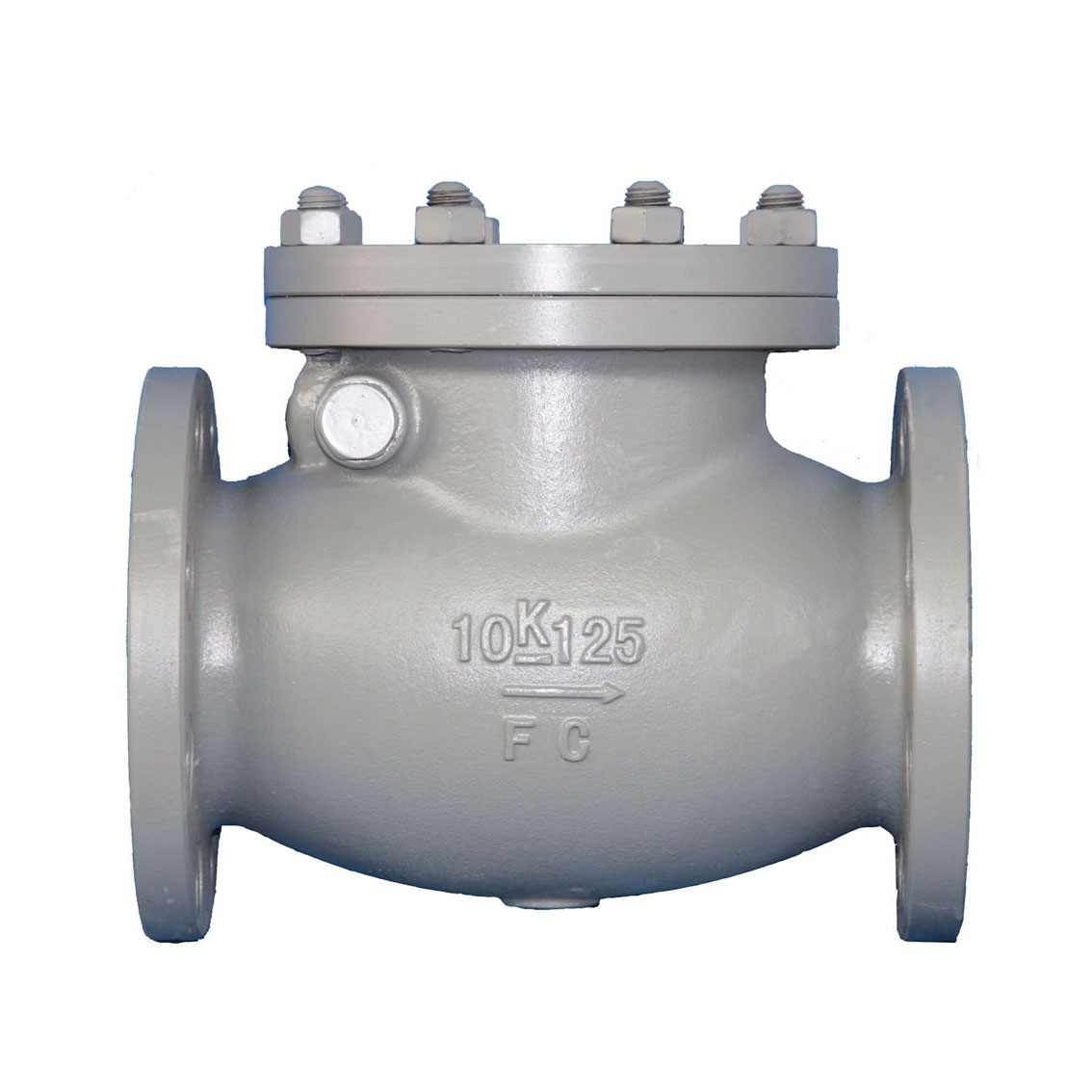 Cast Iron Swing Check Valve JIS F7373 10K