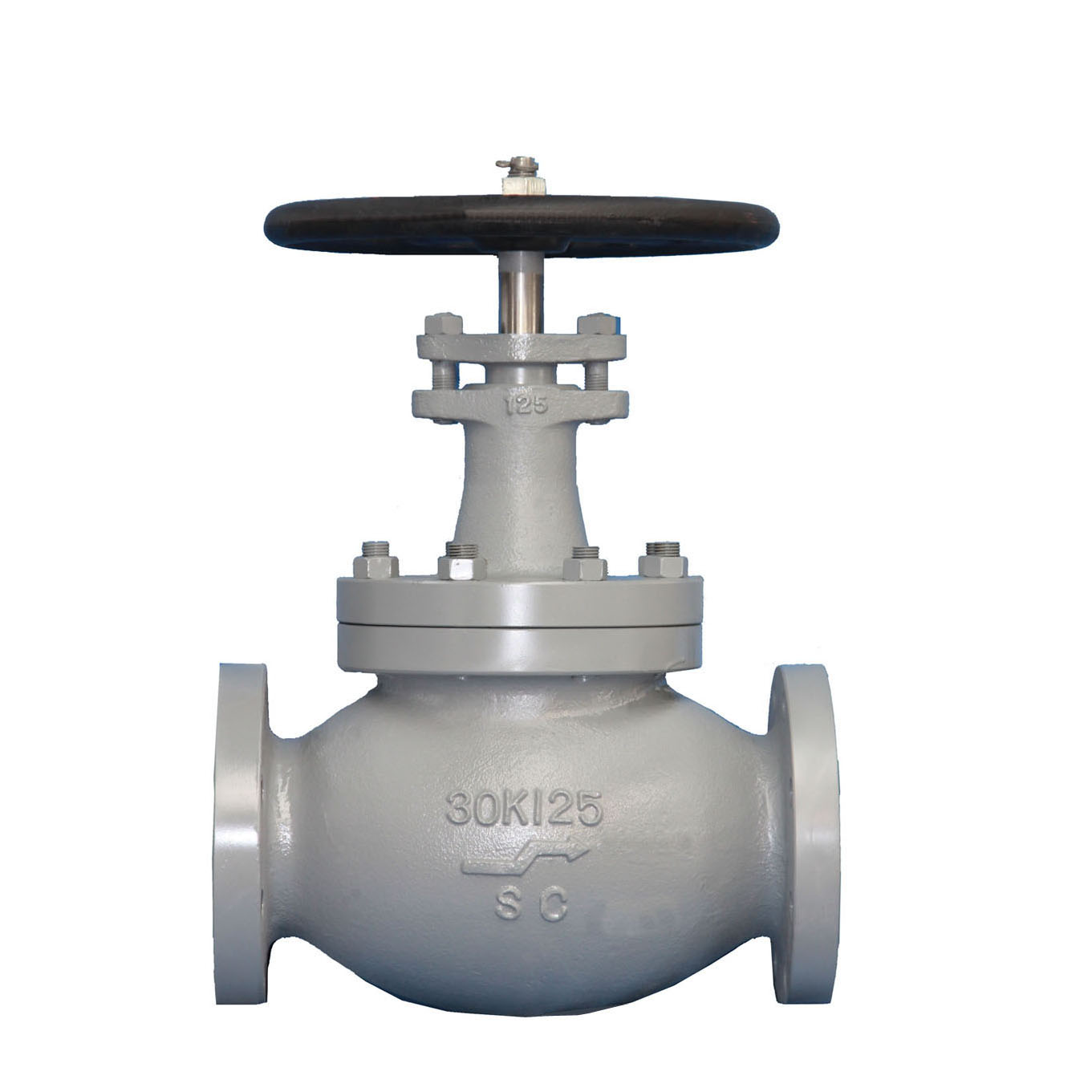 Cast Steel Globe Air Valve JIS F7340 30K