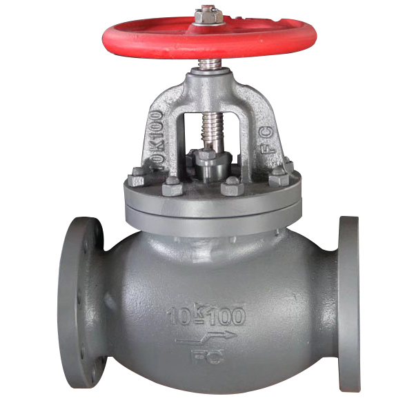 Screw Down Non Return Globe Valve